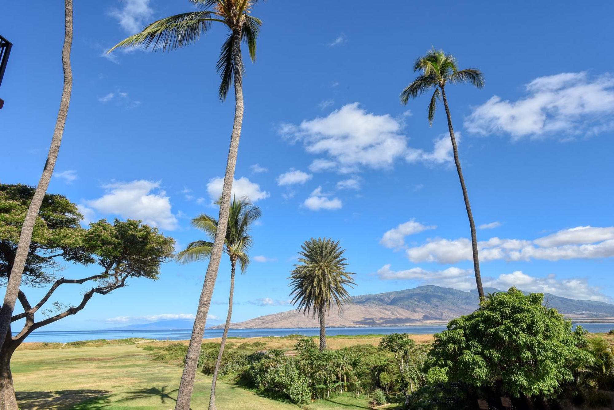 Kauhale Makai Villa Kihei Rom bilde
